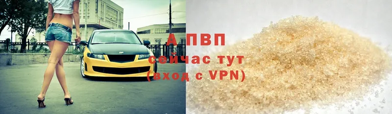 Alfa_PVP СК КРИС  что такое   Дигора 